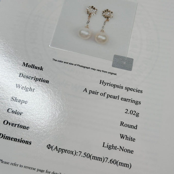 10K Yellow Gold Flower Drop Fine Freshwater Pearl Earring with GRC Certificate